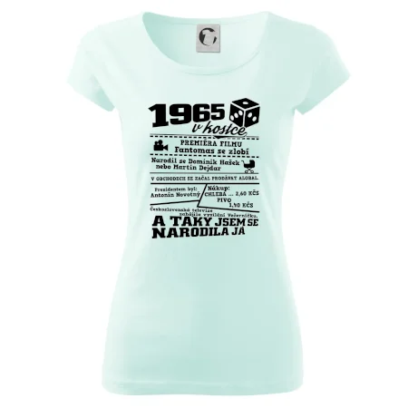 1965 v kostce