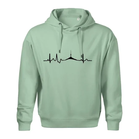 Ekg Jeseníky