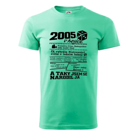 2005 v kostce