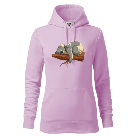 Koala na větvi