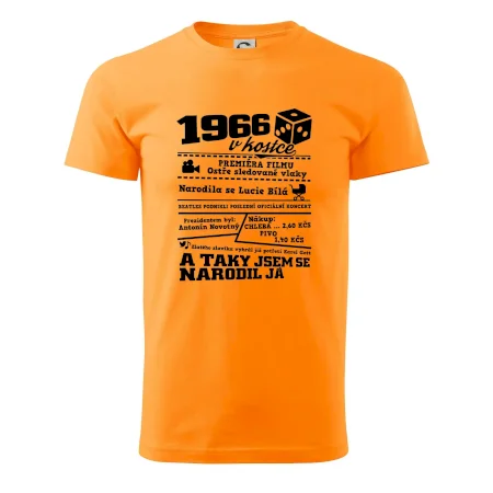 1966 v kostce