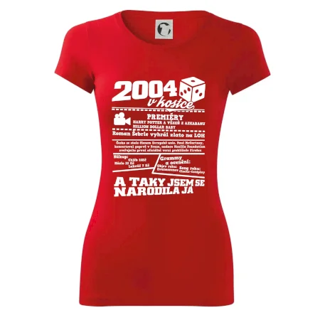 2004 v kostce
