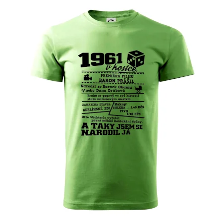 1961 v kostce