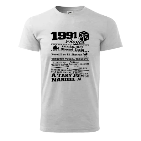 1991 v kostce