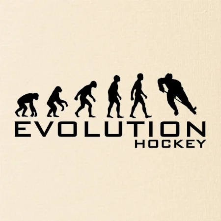 Evoluce Hockey - hráč