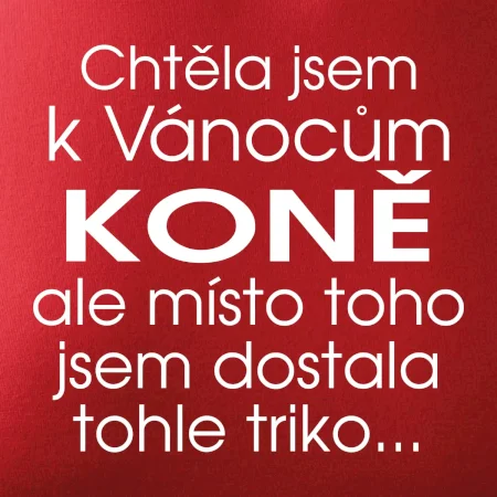 Chtěla jsem k Vánocům koně