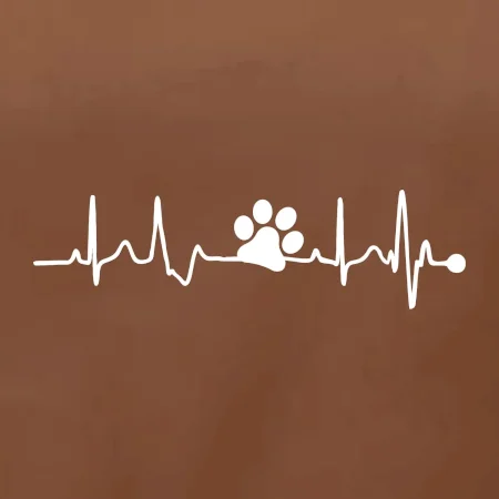 Ekg psí tlapka