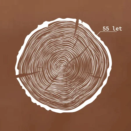 Letokruhy - 55