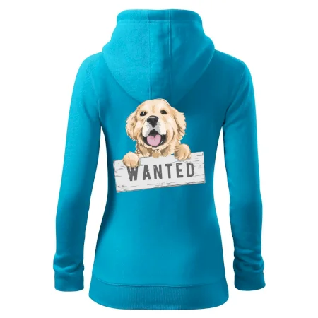 Zlatý retriever - štěně wanted