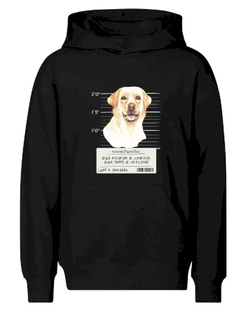Lump a darebák labrador