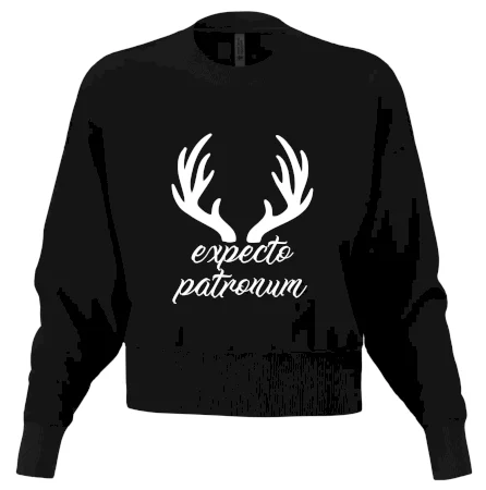 Harry - Expecto patronum