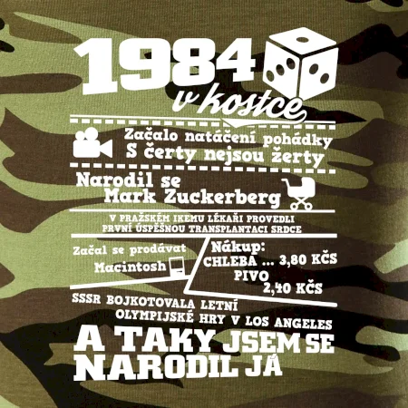 1984 v kostce