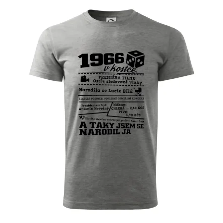 1966 v kostce