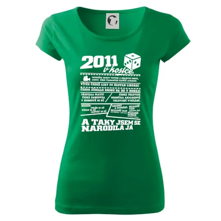 2011 v kostce