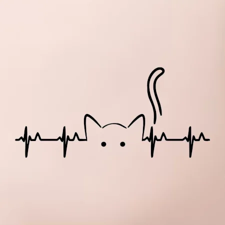 Kočka EKG