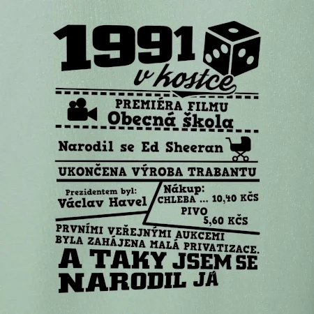 1991 v kostce