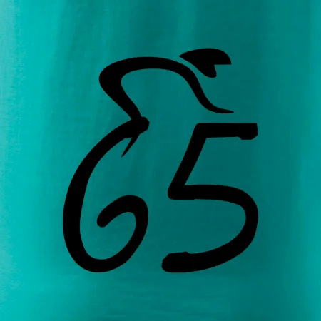Cyklista slaví pětašedesátku (65)