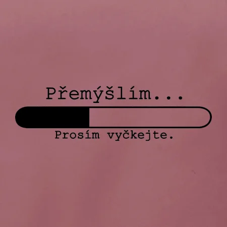 Přemýšlím