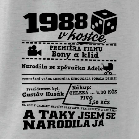 1988 v kostce