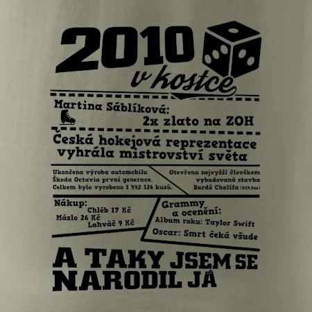 2010 v kostce