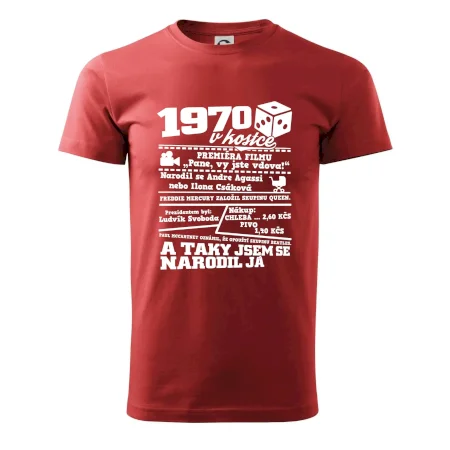 1970 v kostce