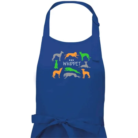 Whippet barevný