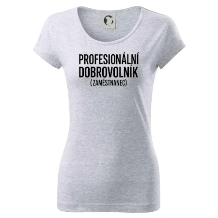 PROFESIONÁLNÍ DOBROVOLNÍK (zaměstnanec)