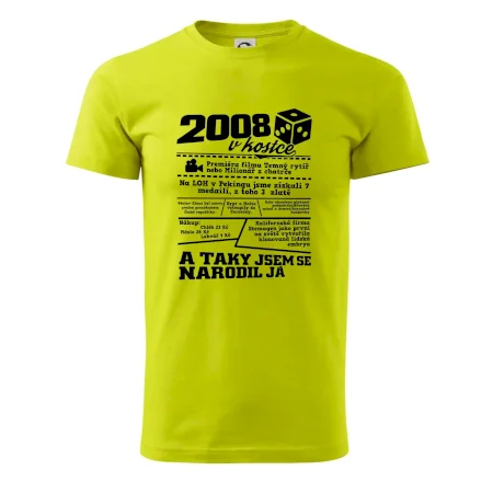2008 v kostce