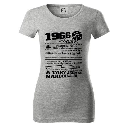 1966 v kostce