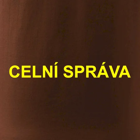 Celní správa