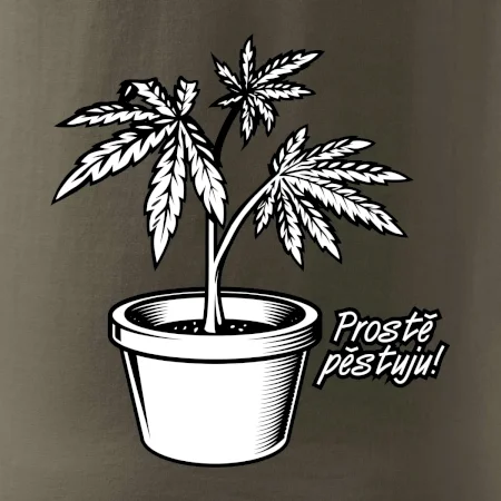 Konopi prostě pěstuju