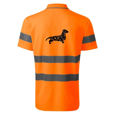 Jezevčík - Dachshund