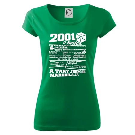 2001 v kostce