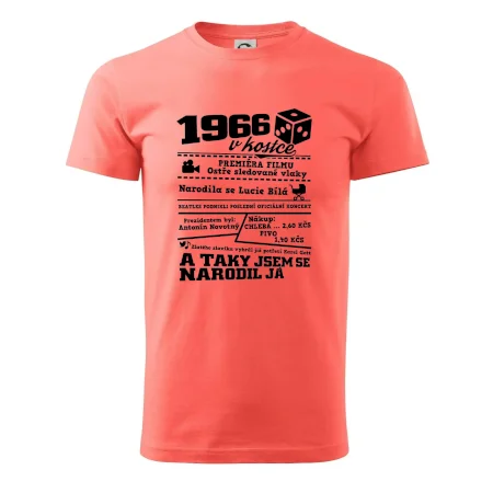 1966 v kostce