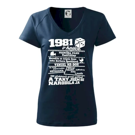 1981 v kostce