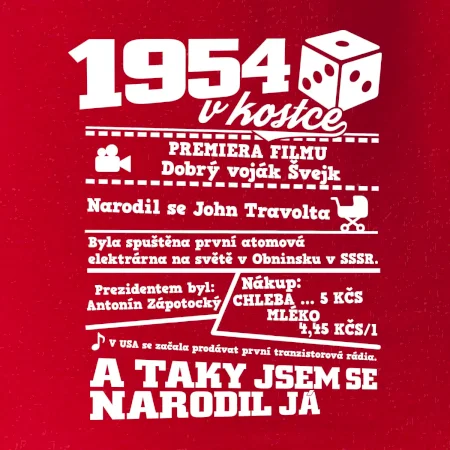 1954 v kostce