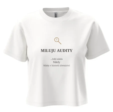 Miluju audity řekl nikdo nikdy