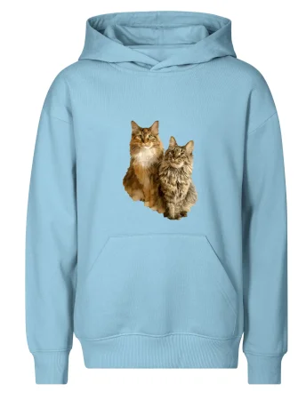 Kočky vectorizované  (Moňas)