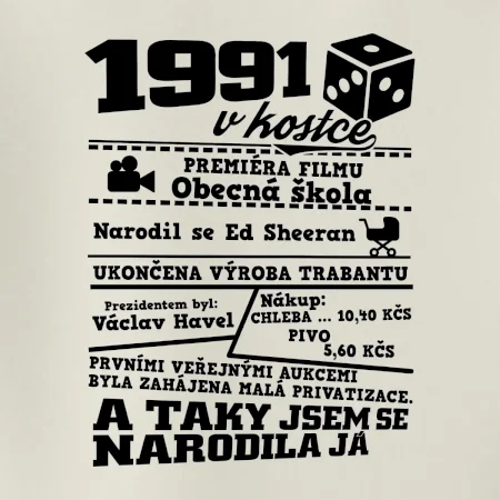 1991 v kostce