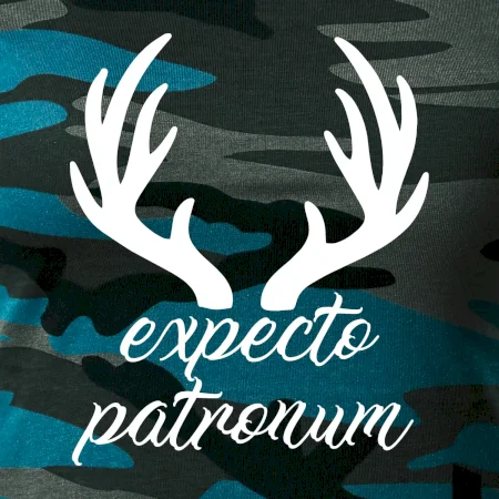 Harry - Expecto patronum