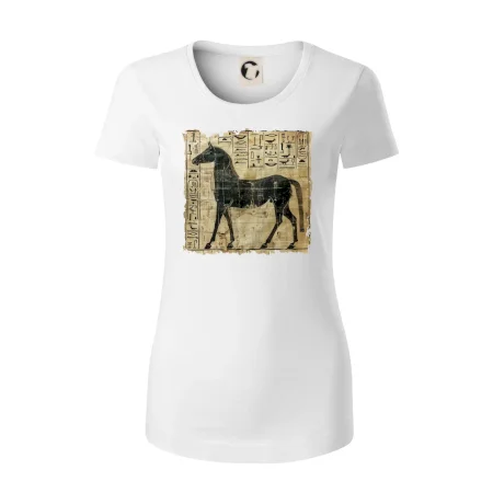 Egyptské hieroglyfy kůň