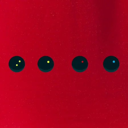 Evolution squash ball