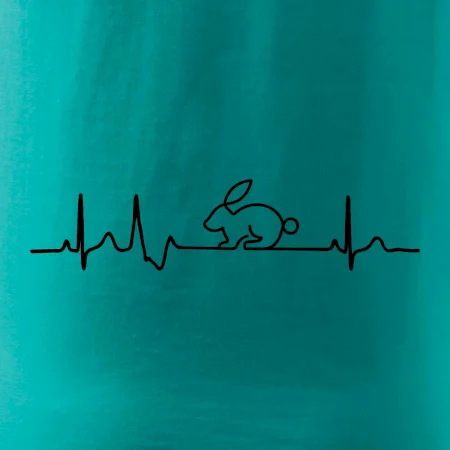 EKG králík