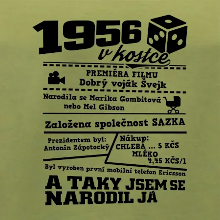 1956 v kostce