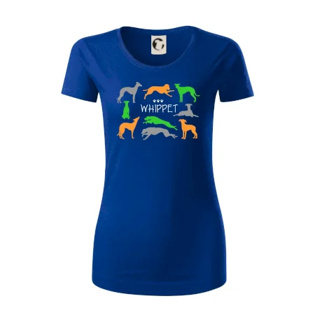Whippet barevný