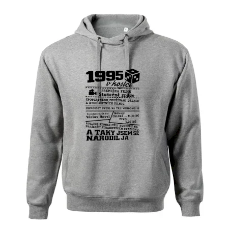 1995 v kostce