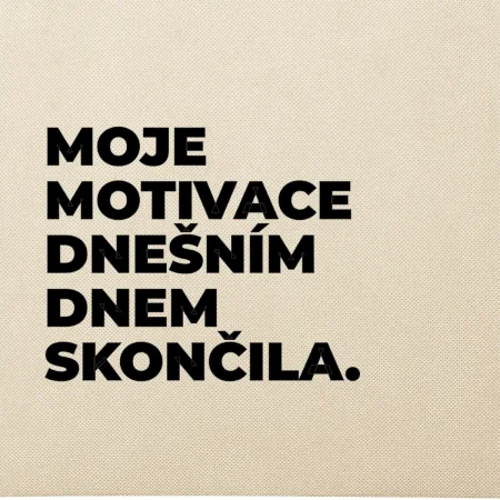 MOJE MOTIVACE DNEŠNÍM DNEM SKONČILA.