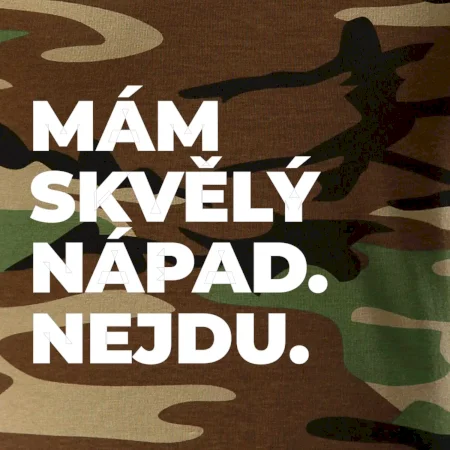 MÁM SKVĚLÝ NÁPAD. NEJDU.