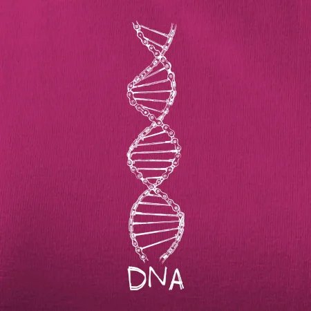Cyklistovo DNA
