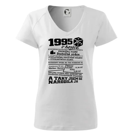 1995 v kostce